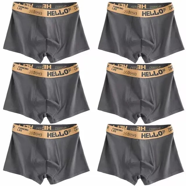 6-Piece Comfortable Men's Boxers
